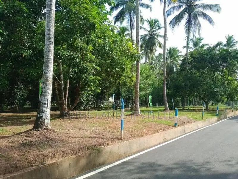 Land for Sale in Yakkala Town