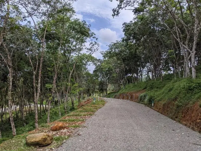 Land for Sale Habaraduwa