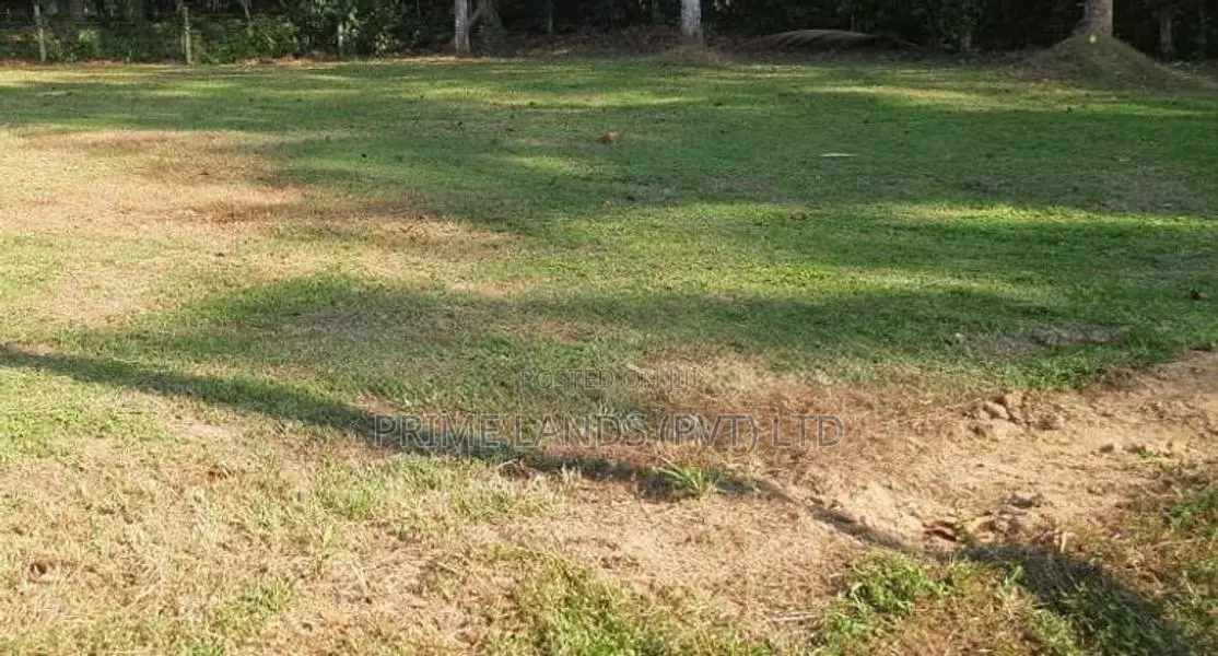 Land for Sale in Kirillawala