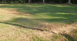 Land for Sale in Kirillawala