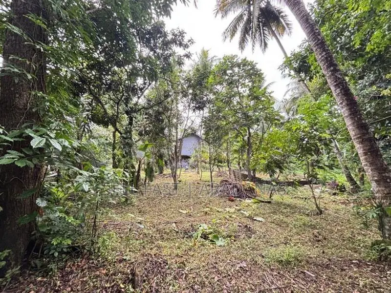 Land For Sale In Homagama