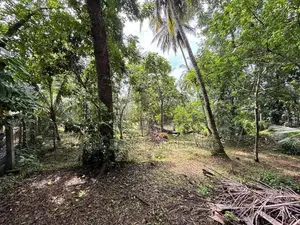 Land For Sale In Homagama