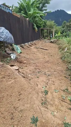 ගම්පොල පර්චස් 24 ක ඉඩමක් විකිණීමට