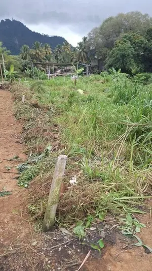 24 Perch Land for Sale in Gampola
