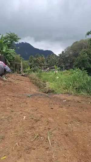 ගම්පොල පර්චස් 24 ක ඉඩමක් විකිණීමට