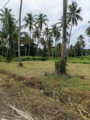 නාරම්මල මැටියගනේ ඉඩමක් විකිණීමට