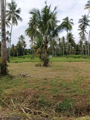 නාරම්මල මැටියගනේ ඉඩමක් විකිණීමට
