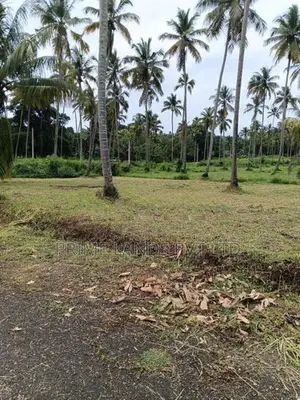 නාරම්මල මැටියගනේ ඉඩමක් විකිණීමට