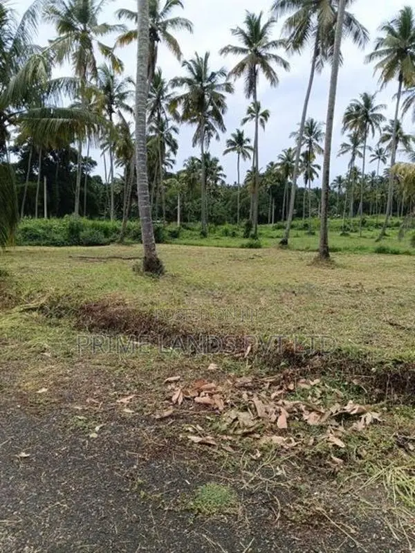 නාරම්මල මැටියගනේ ඉඩමක් විකිණීමට
