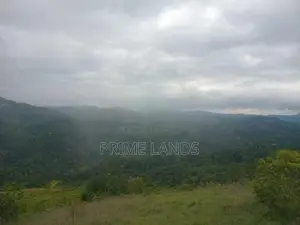 Land For Sale Nillamba