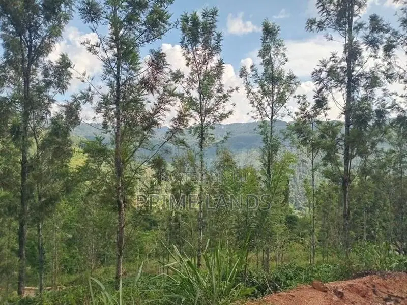 Land For Sale Nillamba