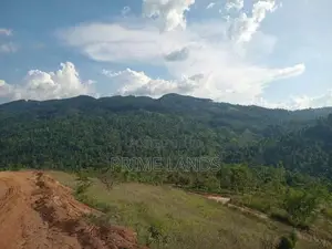 Land For Sale Nillamba