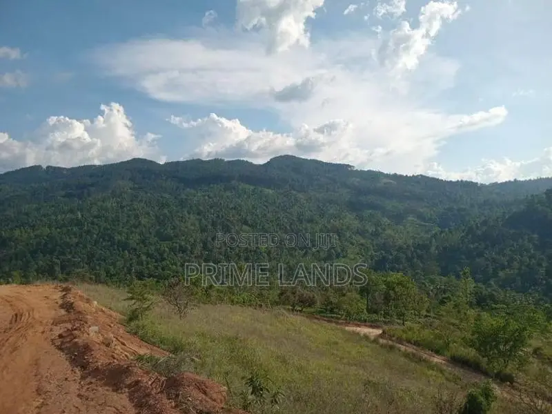 Land For Sale Nillamba