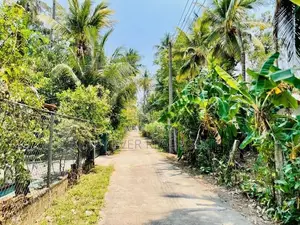 ගම්පහ ඉඳිගොල්ලෙන් Royal Institute අසල බිම් කොටසක් / KK 8533