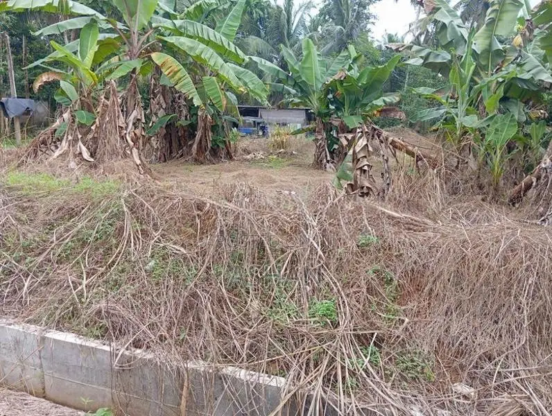 Land for Sale – Dadigamuwa