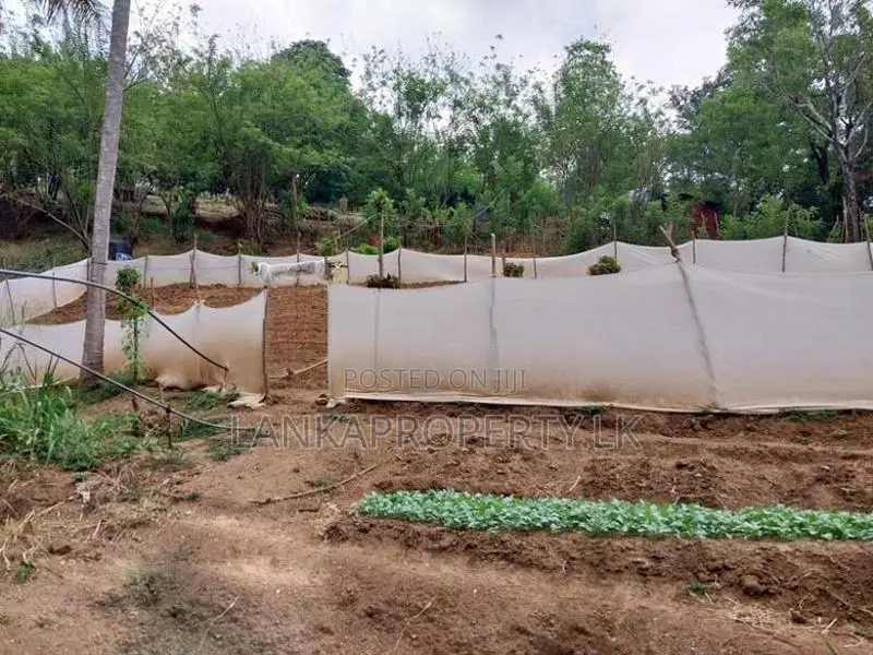 6 Acre Scenic Agricultural Land for Sale – Thalathuoya, Kandy