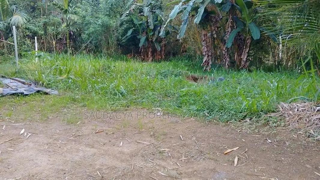 හින්නරන්දෙණියේ ඉඩමක් විකිණීමට