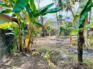 ගම්පහ ඉඳිගොල්ලෙන් Royal Institute අසල බිම් කොටසක් / KK 8533