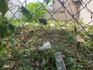 Bare Land For Sale Dehiwala