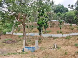 6 Acre Scenic Agricultural Land for Sale – Thalathuoya, Kandy