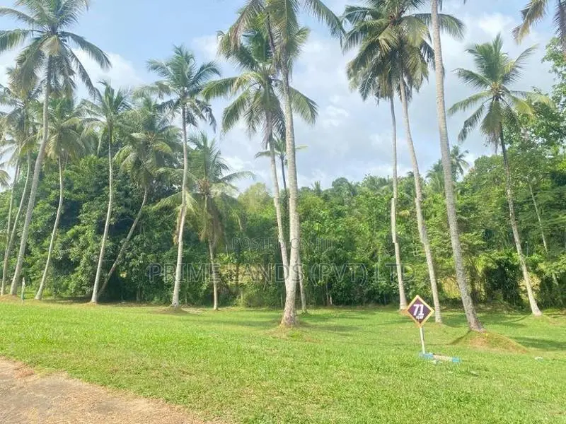 Land for Sale in Udugampola