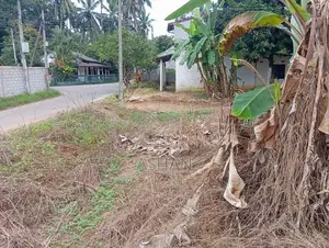 Land for Sale – Dadigamuwa