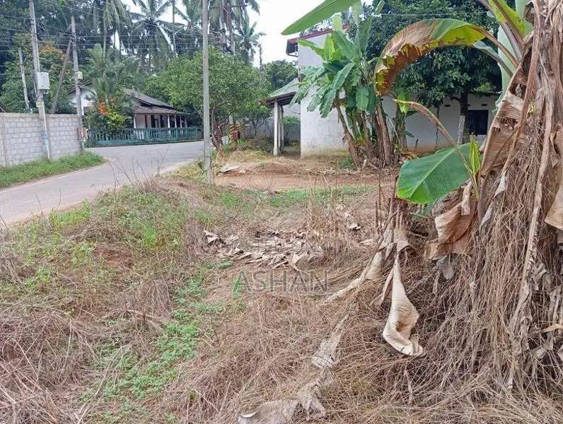 Land for Sale – Dadigamuwa