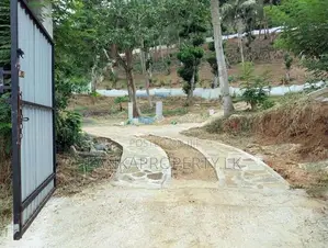 6 Acre Scenic Agricultural Land for Sale – Thalathuoya, Kandy
