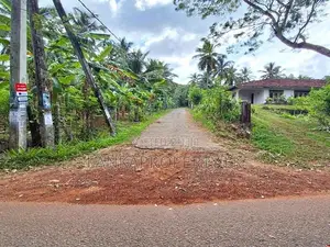 Valuable 5 Acres of Rubber Land for Sale on Udulla, Mirigama.