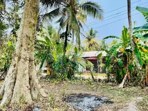 ගම්පහ ඉඳිගොල්ලෙන් Royal Institute අසල බිම් කොටසක් / KK 8533
