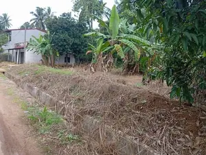 Land for Sale – Dadigamuwa