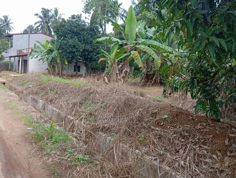 Land for Sale – Dadigamuwa