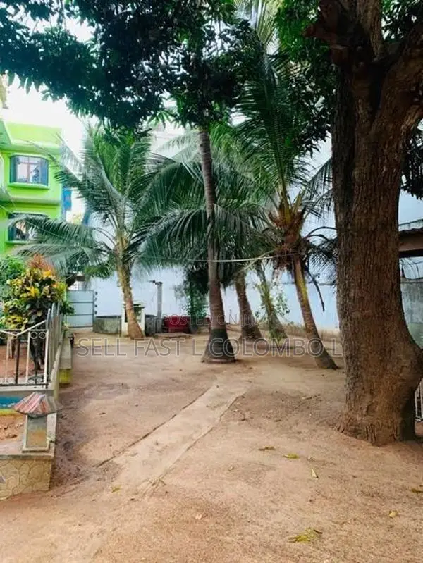 Building for Sale Chavakachcheri Town
