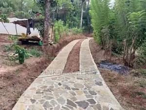 6 Acre Scenic Agricultural Land for Sale – Thalathuoya, Kandy