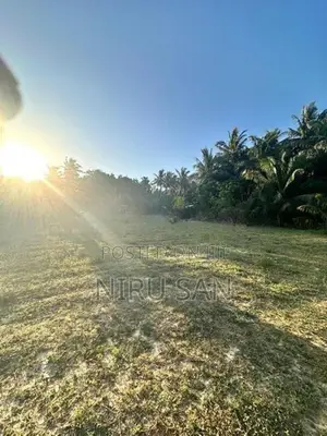 Land for Sale Chavakachcheri