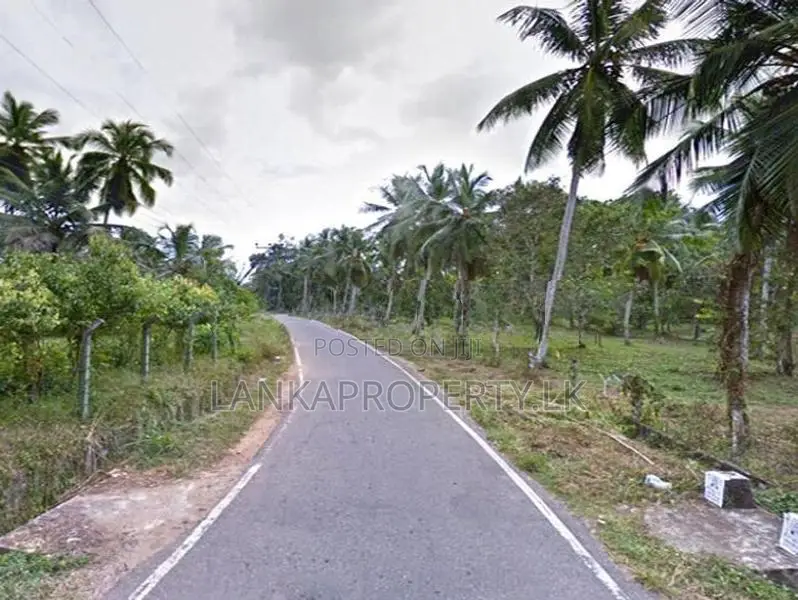 Valuable 5 Acres of Rubber Land for Sale on Udulla, Mirigama.