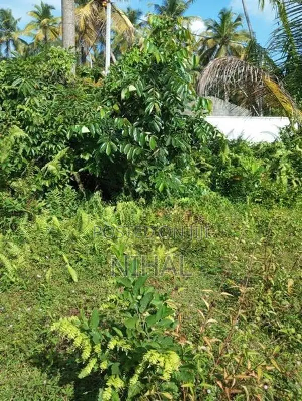 Land for Sale Hikkaduwa