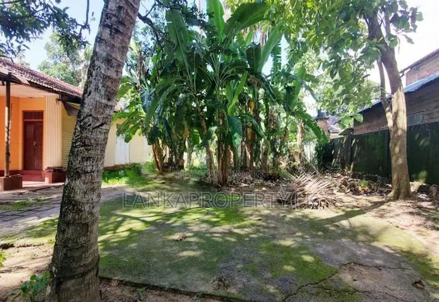 Prime Residential Land for Sale – Thudella, Ja-Ela.