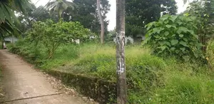 Land for Sale Seeduwa