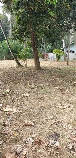 Land for Sale Seeduwa