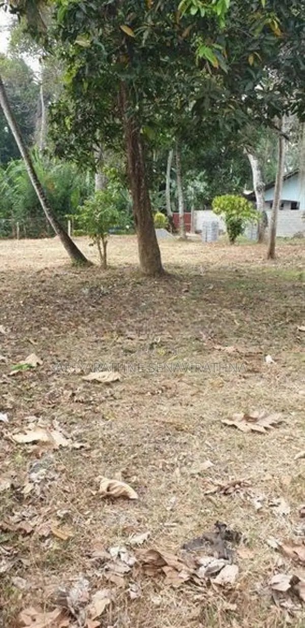 Land for Sale Seeduwa