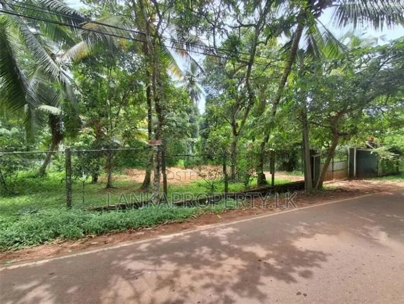 Residential Land for Sale Thammita