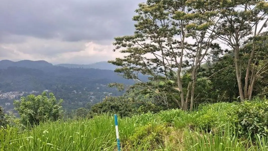 Land for Sale in Pussellawa Wahurupitiya