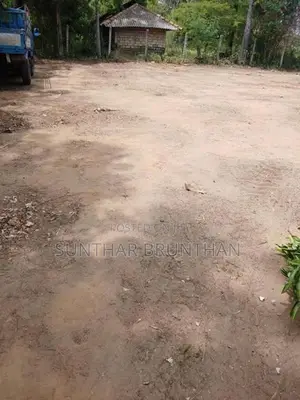 காணி விற்பனைக்கு - துணவி