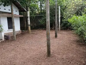 Prime Land for Sale in Pannipitiya – Panawatte Road, Arruwala