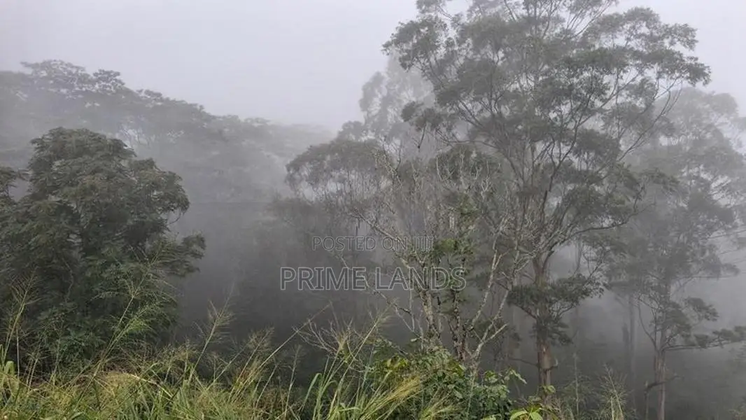 Land for Sale in Pussellawa Wahurupitiya