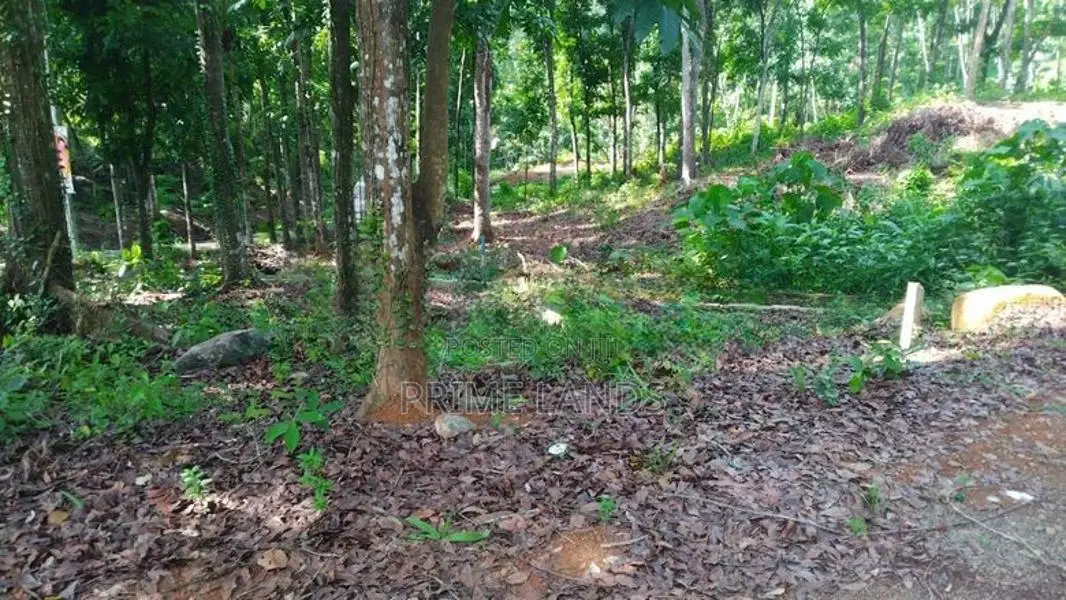 Residential Land for Sale in Nelumdeniya