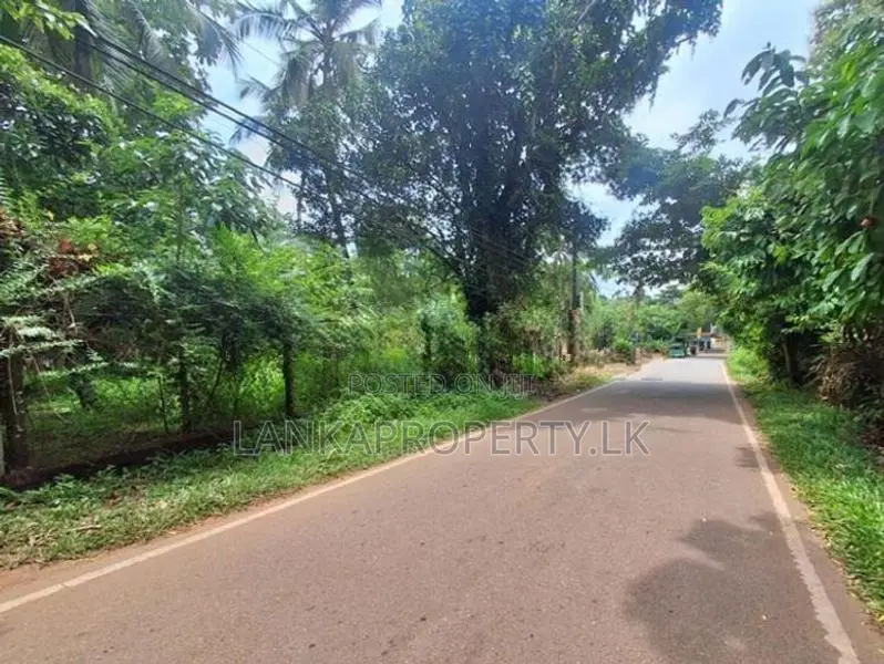 Residential Land for Sale Thammita