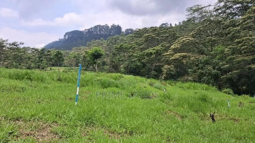 Land for Sale in Pussellawa Wahurupitiya