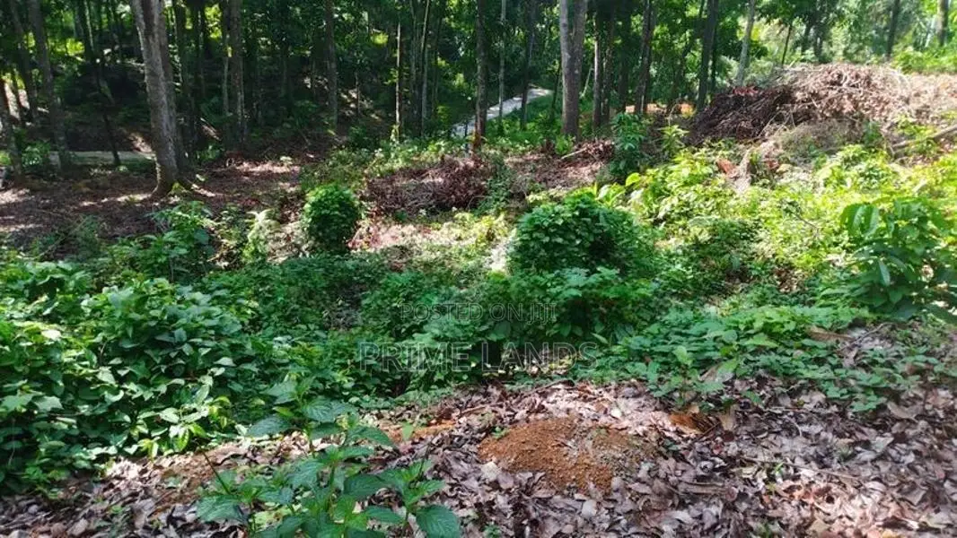 Residential Land for Sale in Nelumdeniya
